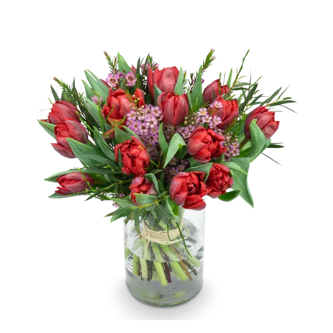Kytice prémiových tulipánů